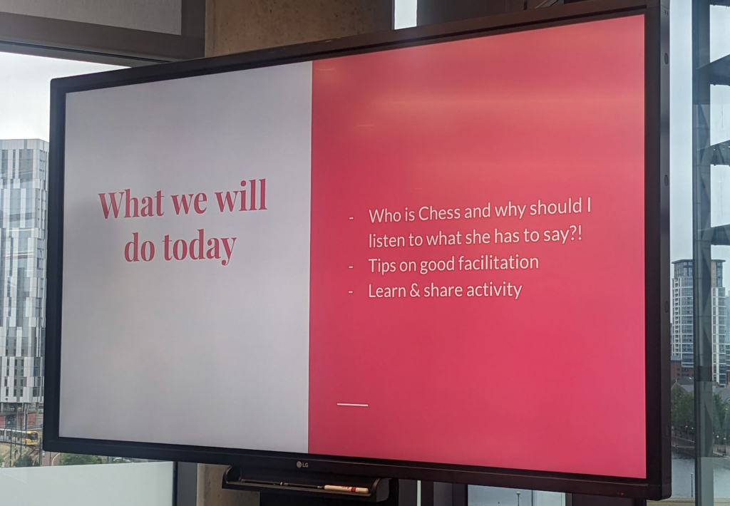 Slide: "what we will do today"

"Who is Chess and why should I listen to what she has to say? 

Tips on good facilitation

Learn and share activity"