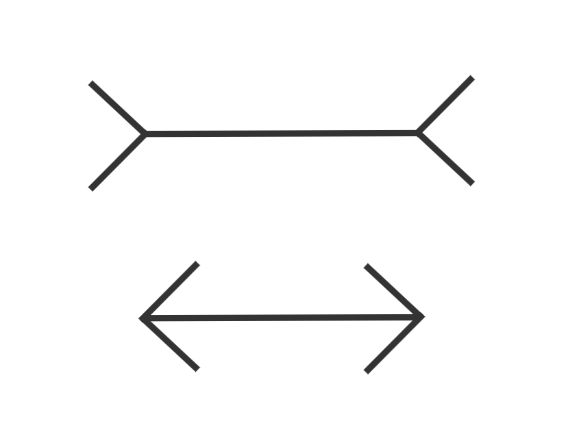 The Müller-Lyer illusion: two horizontal lines, one above the other. the bottom one has lines making arrow heads at each end of it, and looks a lot shorter than the top one, which has lines making inverted arrowheads.

These parallel lines are exactly the same length, but they really don't look it.
