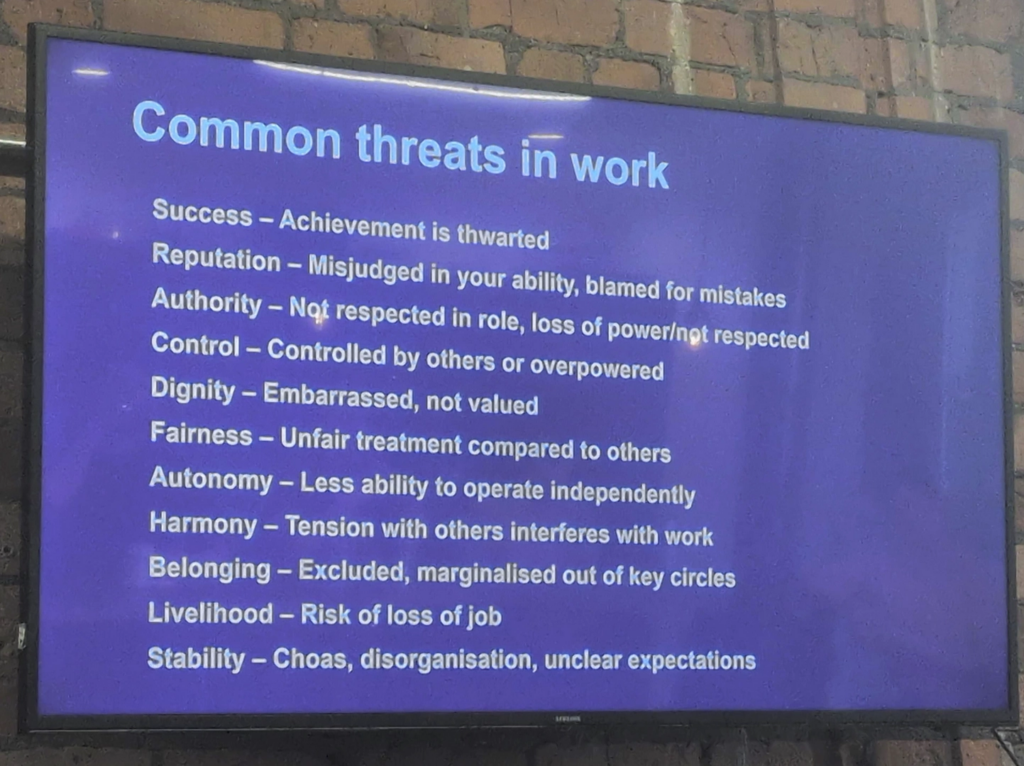 A slide of "common threats in work".
Success - Achievement is thwarted.
Reputation - Misjudged in your ability, blamed for mistakes.
Authority - Not respected in role, loss of power/not respected.
Control - Controlled by others or overpowered.
Dignity - Embarrassed, not valued.
Fairness - Unfair treatment compared to others.
Autonomy - Less ability to operate independently.
Harmony - Tension with others interferes with work.
Belonging - Excluded, marginalised out of key circles.
Livelihood - Risk of loss of job.
Stability - Chaos, disorganisation, unclear expectations.