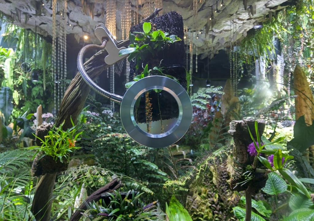 Photo of a colourful, crowded collection of ferns, flowers, and leaves. In the middle of the photo, a metal clip with a flexible arm is holding up a magnifying glass on a tree branch.